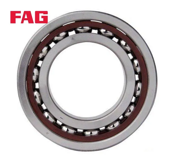 High Rotation Accuracy FAG 3201BB.2ZR.TVH Double-Row Angular Contact Ball Bearing for Precision Machine Tools