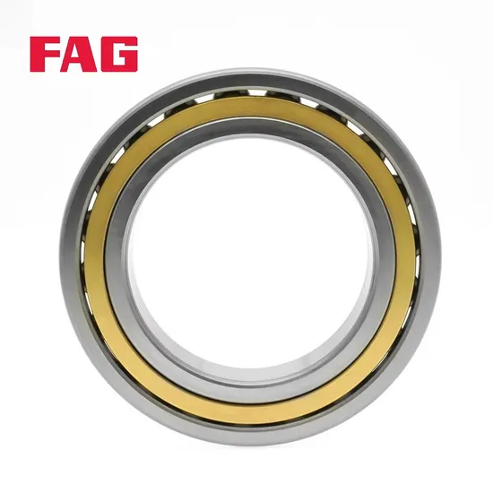 Double Row Angular Contact Ball Bearings FAG 3206-Bd-XL-2hrs-Tvh P6 for CNC Machine Tools
