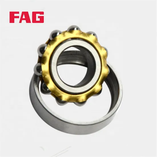 Double Row FAG Angular Contact Ball Bearing 3302-Bd-XL-2z-Tvh for Precision Machine Tools with P5 Precision