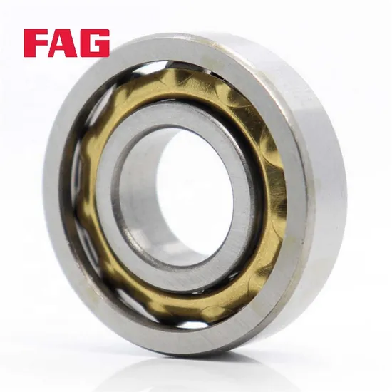 Double Row Angular Contact Ball Bearing FAG 3303-B-Tnh P5 for High Precision CNC Machine Tools