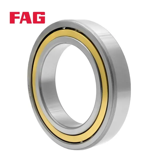 Double Row Angular Contact Ball Bearing 3308B.2RSR.TVH FAG for High Load Precision Machinery