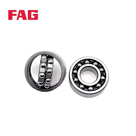 Double Row Angular Contact Ball Bearing 3309-Bd-XL-2hrs-Tvh FAG for Energy Mining Gearboxes