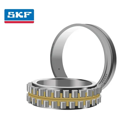 Double Row Cylindrical Roller Bearing NUP309 EC J/C3 with Brass Cage for Blower Equipment