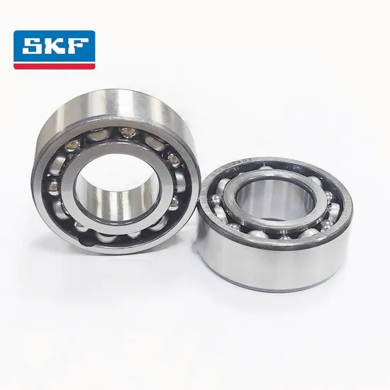Heavy Duty Double Row Angular Contact Ball Bearing 3305-a-2RS1 Tn9-Mt33 Nylon Cage for Electric Motor