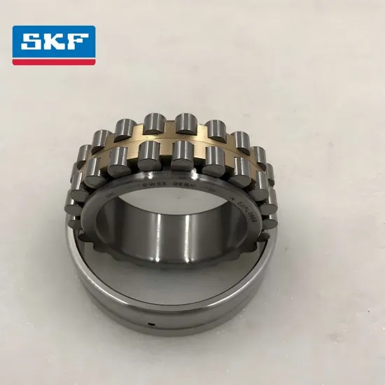 Double Row Cylindrical Roller Bearing NU2222-Ec P C3 Clearance for Mixer Machine