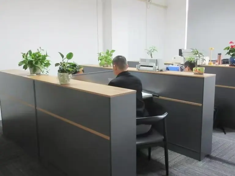 Office working scene